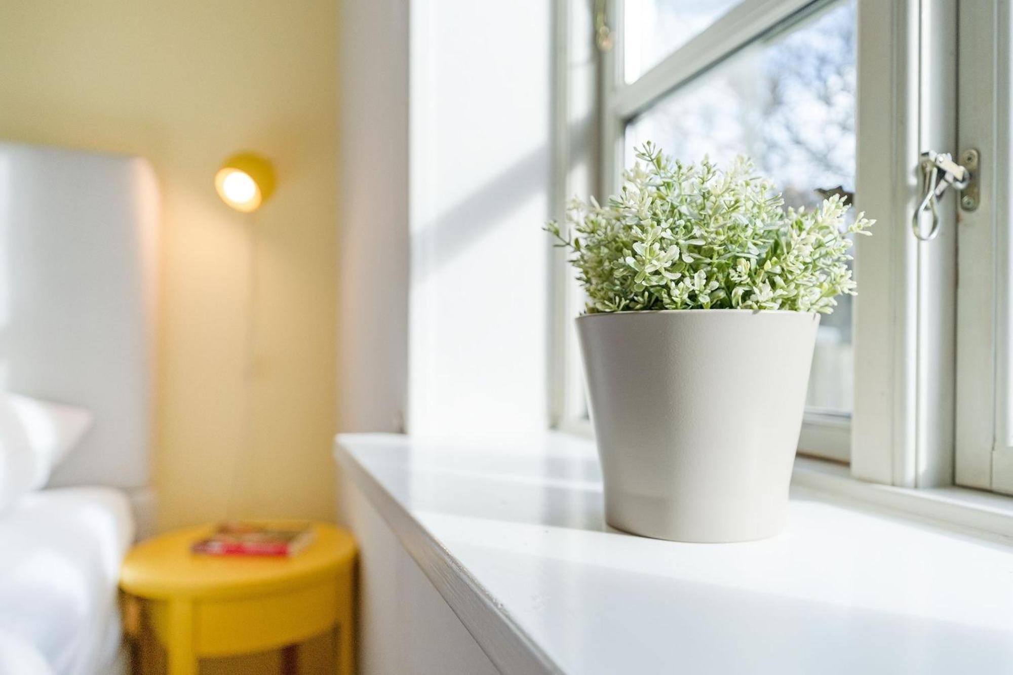 Apartmán Michel Dahme  Exteriér fotografie